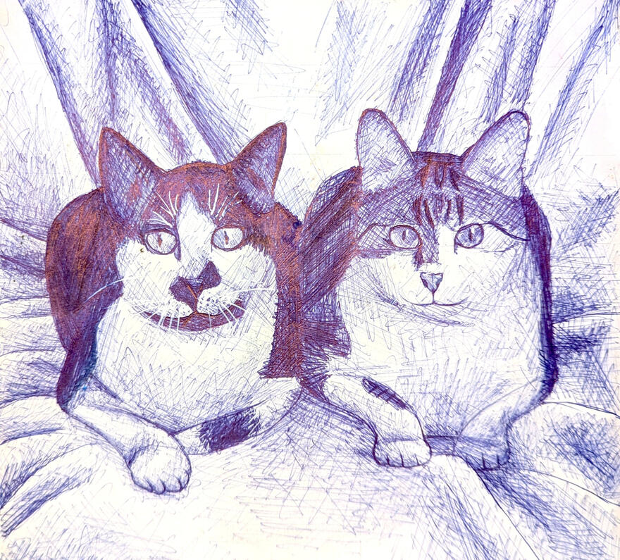 Auntie's Cats Biro