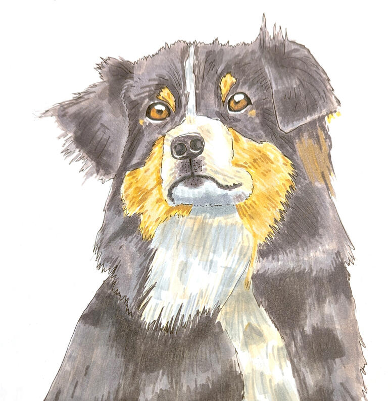 An image of a dog I found on google search