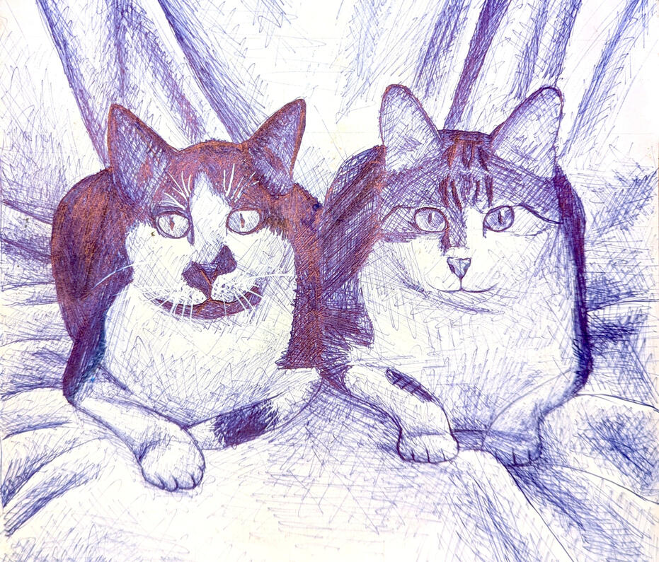 Auntie's cats Biro