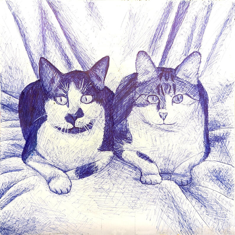 Aunty's Cats Biro