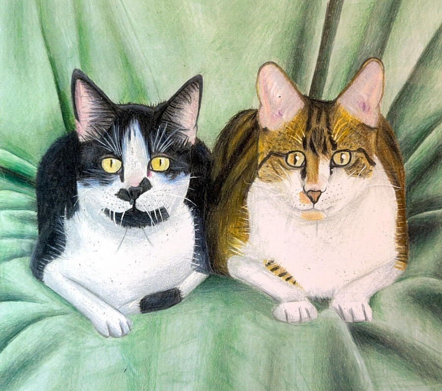 Aunty's Cats