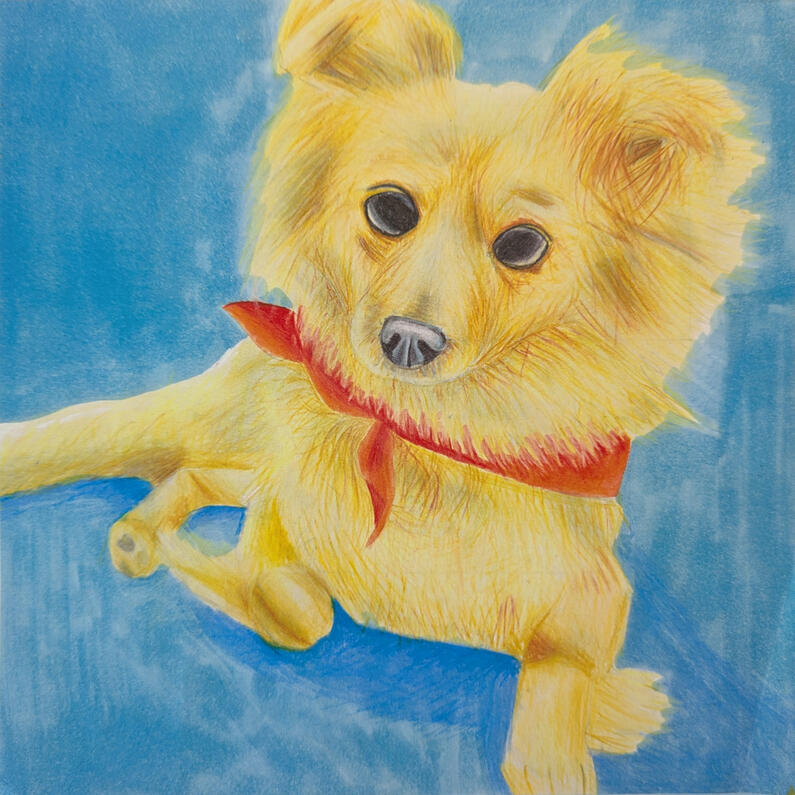 Cousin's Dog