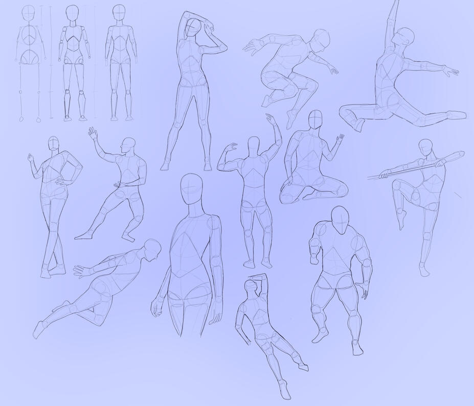 Anatomy